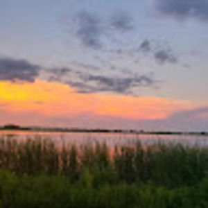 Meet your Posher, Frances